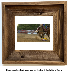 horseback riding near me in Orchard Park, New York